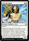 Product image for Vizir de sursis