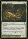 Product image for Algae Gharial