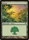 Product image for Forest