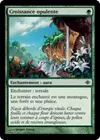 Product image for Croissance opulente