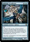 Product image for Sphinge écailleuse