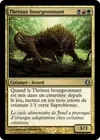 Product image for Thrinax bourgeonnant