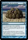 Product image for Formation de la tortue