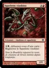 Product image for Squelette viashino