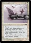 Product image for Pigeons voyageurs