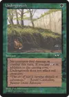 Product image for Undergrowth