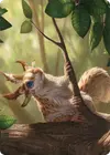 Product image for Squirrel Sovereign