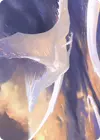 Product image for Timeless Dragon