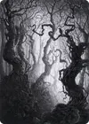 Product image for Forest