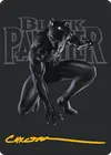Product image for Black Panther, Hope Enduring