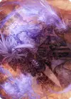 Product image for Satoru Umezawa