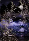 Product image for Swamp