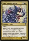 Product image for Giant Ambush Beetle