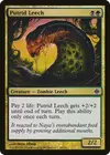 Product image for Putrid Leech