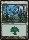 Product image for Forêt