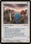 Product image for Camel
