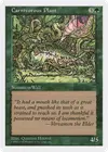 Product image for Carnivorous Plant