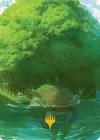 Product image for Forest