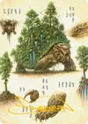 Product image for The Lion-Turtle