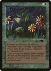 Product image for Argothian Pixies