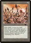 Product image for Wall of Spears