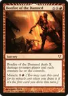 Product image for Bonfire of the Damned