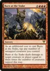 Product image for Burn at the Stake