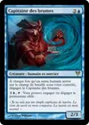 Product image for Capitaine des brumes