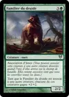 Product image for Familier du druide