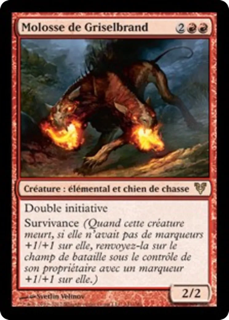 Molosse de Griselbrand — Avacyn Restored — Magic: The Gathering