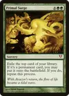 Product image for Primal Surge