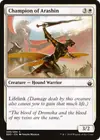 Product image for Champion of Arashin