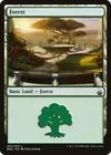 Product image for Forest