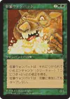 Product image for Wombat enragé