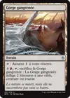 Product image for Gorge gangrenée