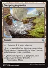 Product image for Steppes gangrenées