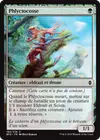 Product image for Phlyctocosse