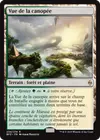 Product image for Vue de la canopée