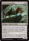 Product image for Drone du sacrifice