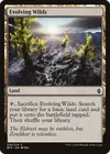 Product image for Evolving Wilds