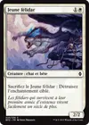 Product image for Jeune félidar