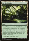 Product image for Fertile Thicket