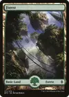 Product image for Forest