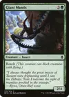 Product image for Giant Mantis
