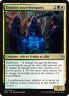 Product image for Druides couvebosquets