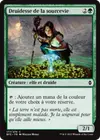 Product image for Druidesse de la sourcevie