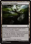 Product image for Fondrière mortuaire