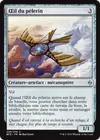 Product image for Œil du pèlerin