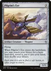 Product image for Pilgrim's Eye
