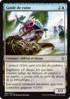 Product image for Guide de ruine